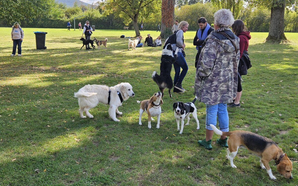 20240915 145909 20240915 145909