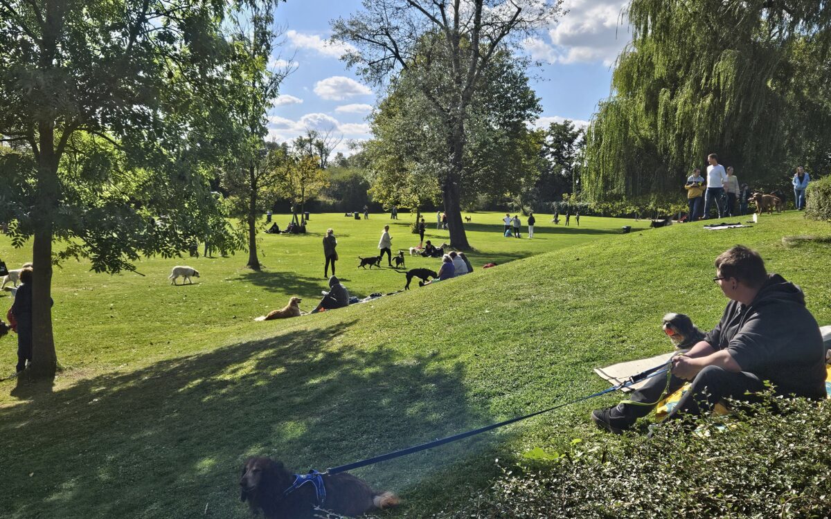 20240915 145922 20240915 145922