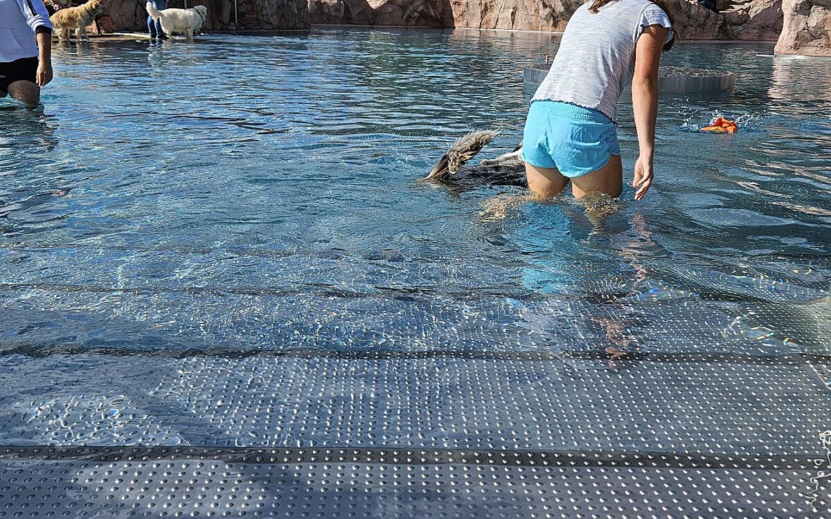 20240915 145951 20240915 145951