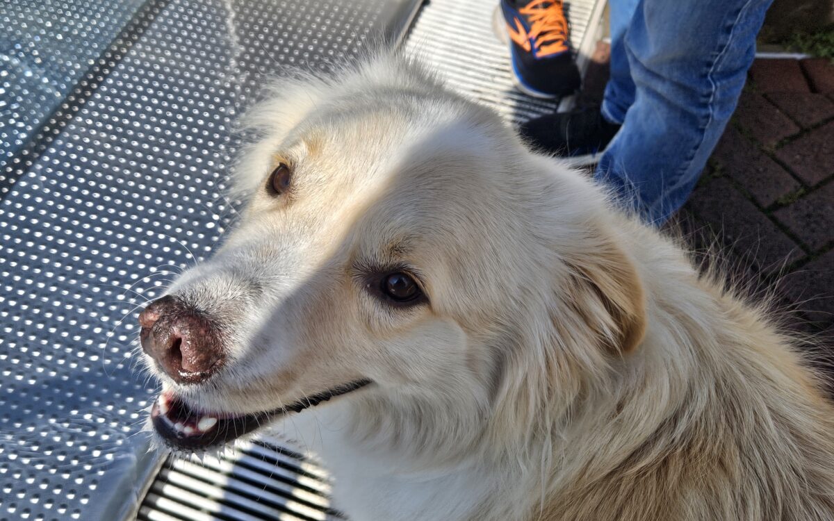 20240915 150003 20240915 150003