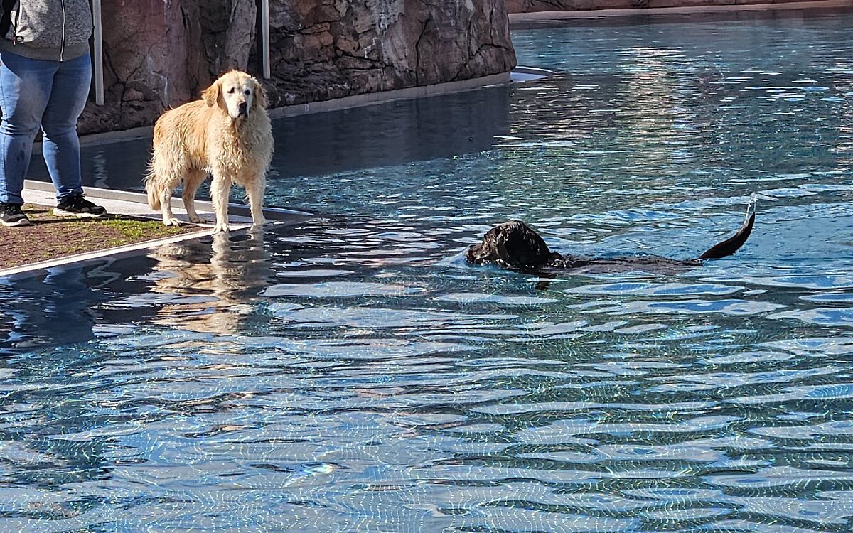 20240915 150103 20240915 150103