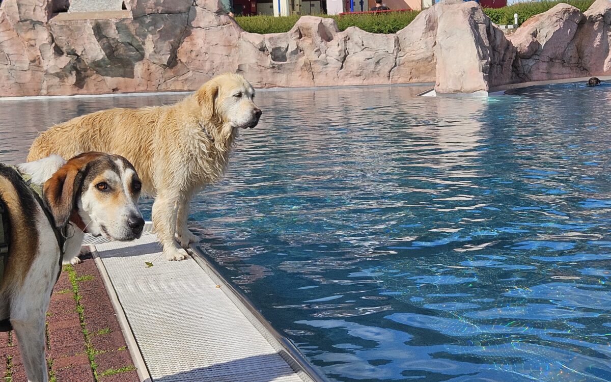 20240915 150220 20240915 150220