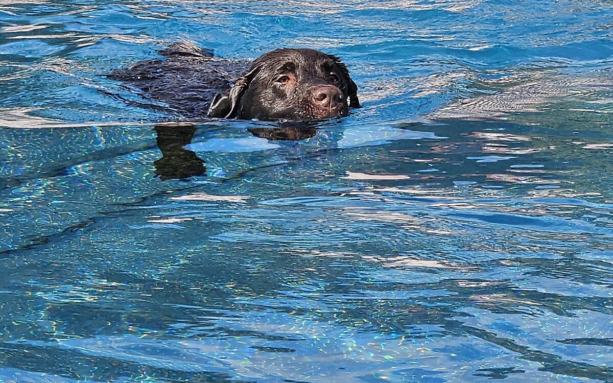 20240915 150239 20240915 150239