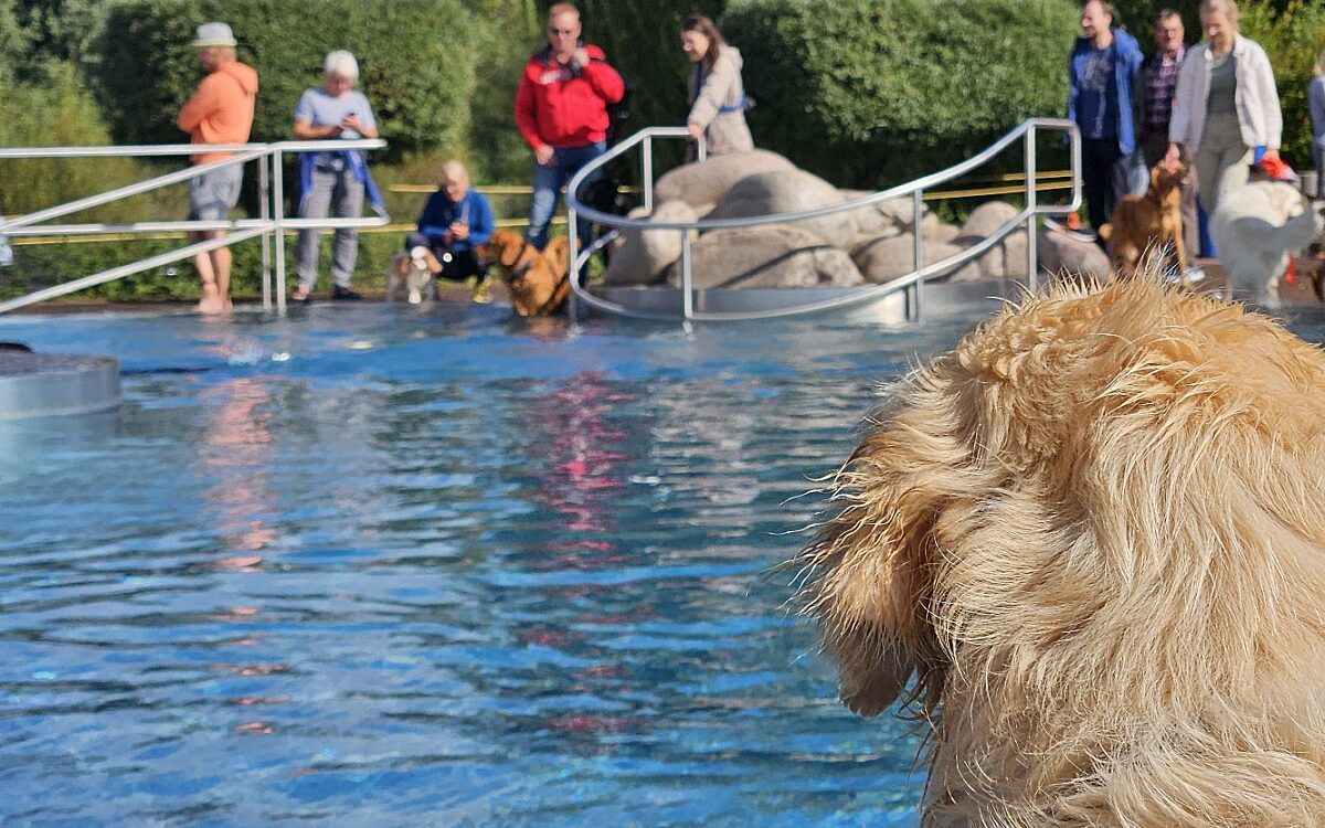 20240915 150332 20240915 150332