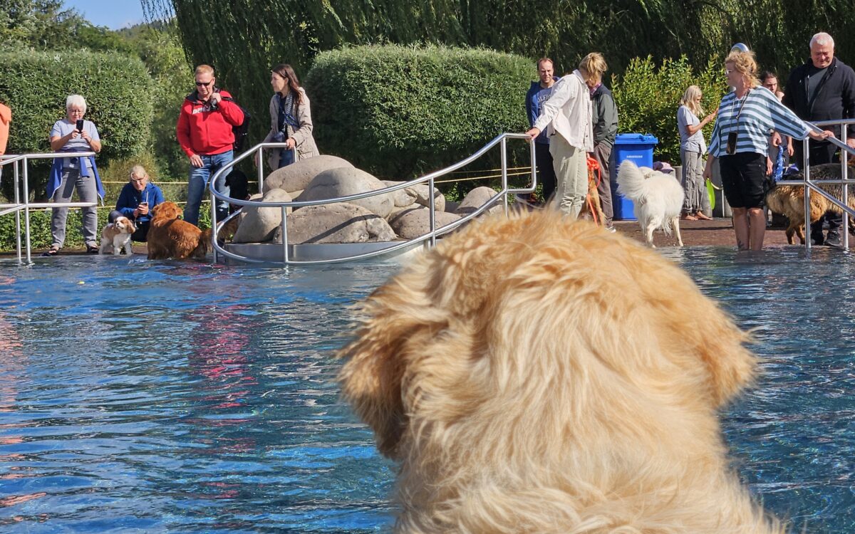 20240915 150333 20240915 150333