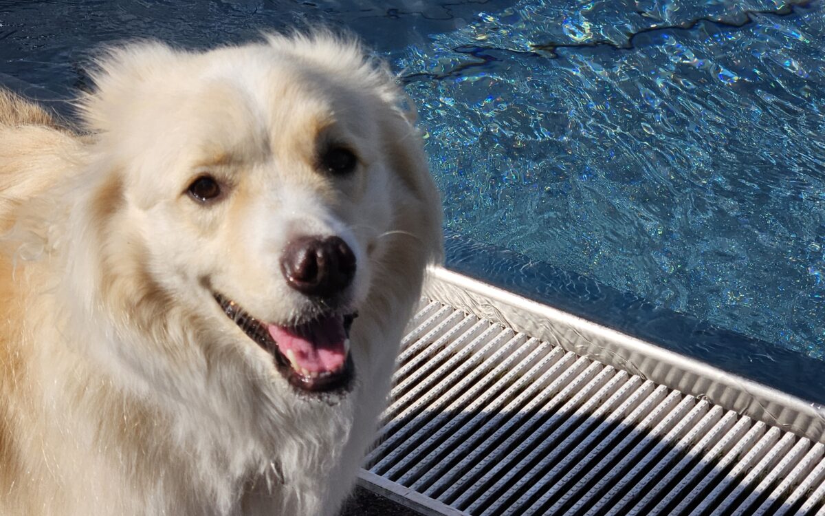 20240915 150346 20240915 150346