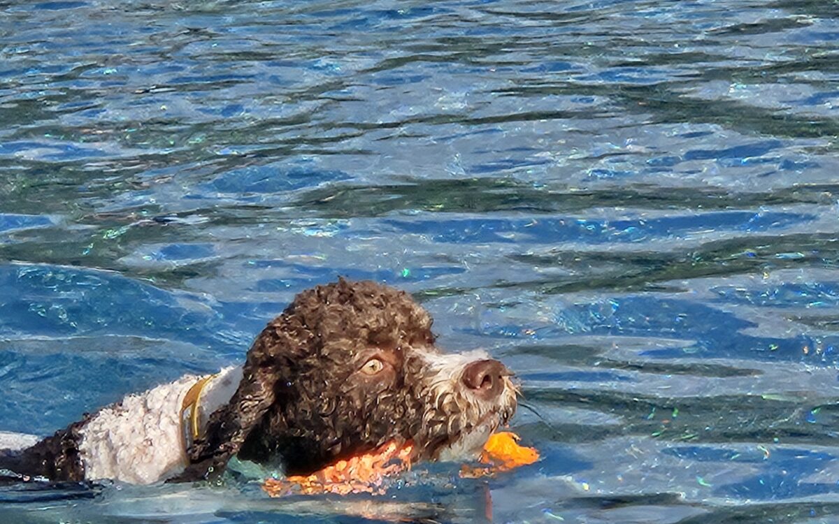 20240915 150429 20240915 150429