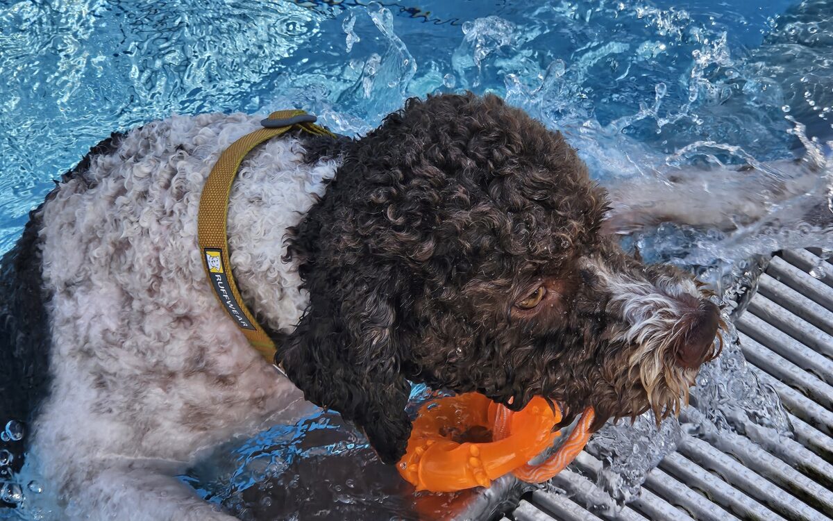 20240915 150604 20240915 150604