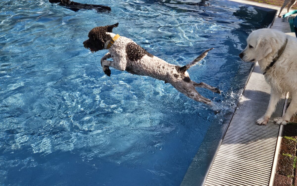 20240915 150612 20240915 150612