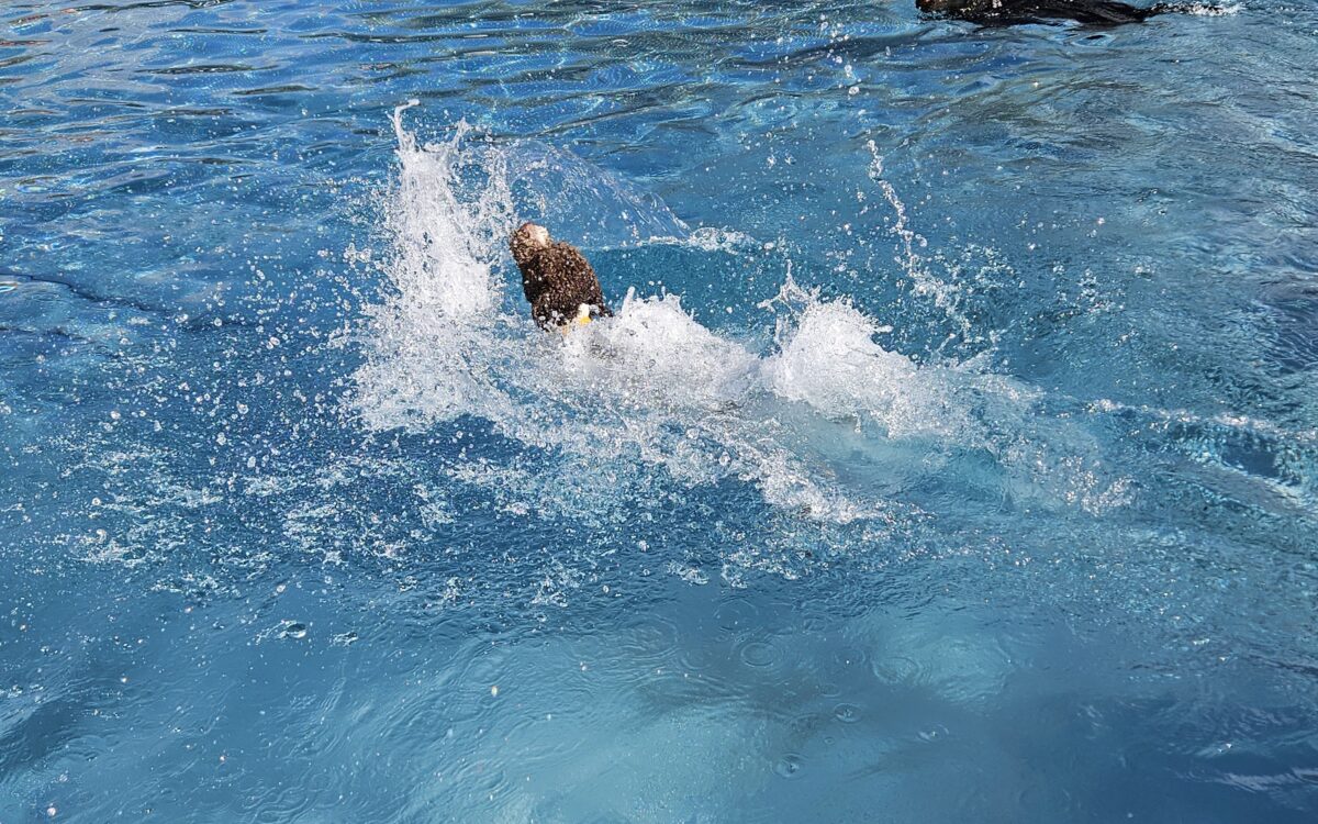 20240915 1506120 20240915 1506120