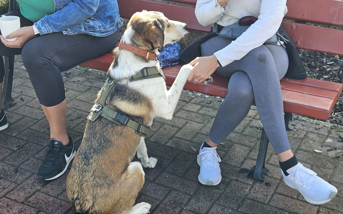 20240915 150638 20240915 150638