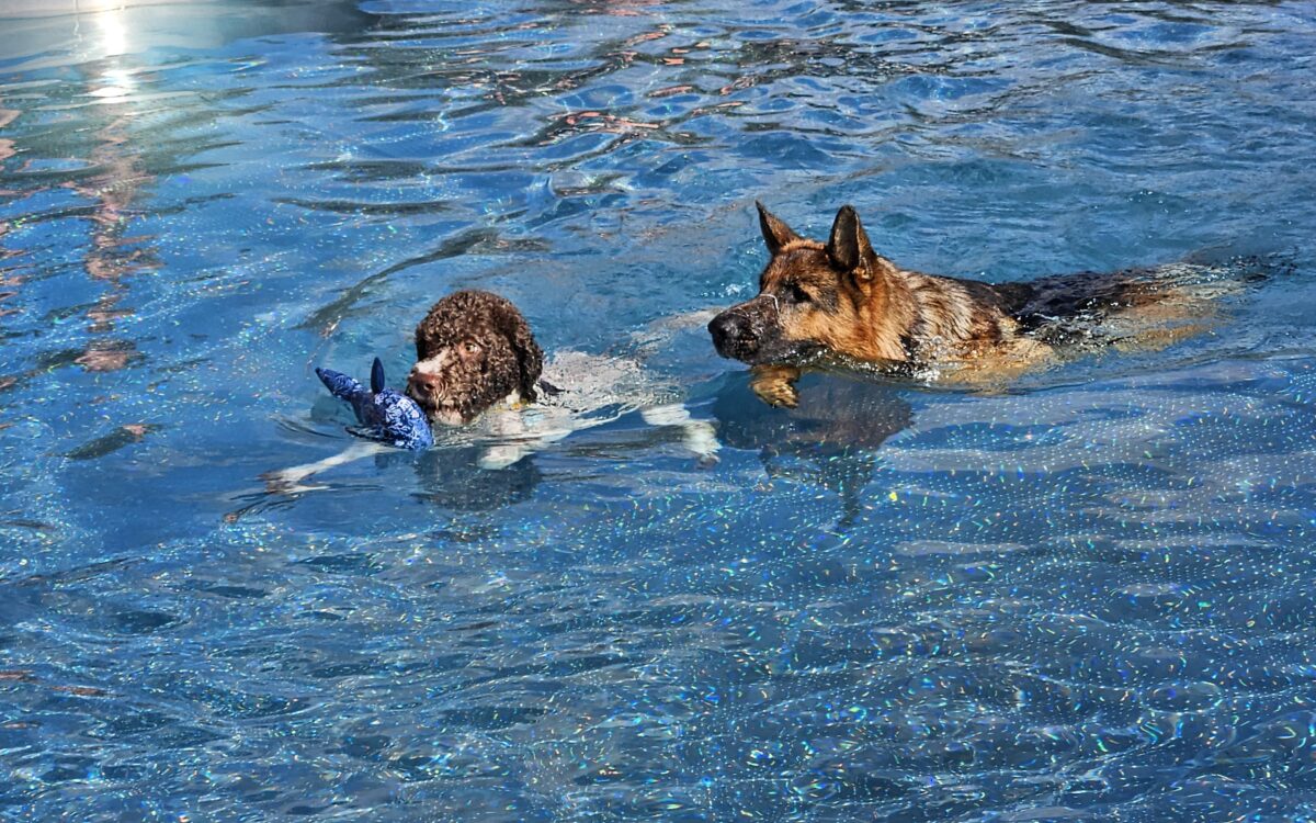 20240915 150658 20240915 150658