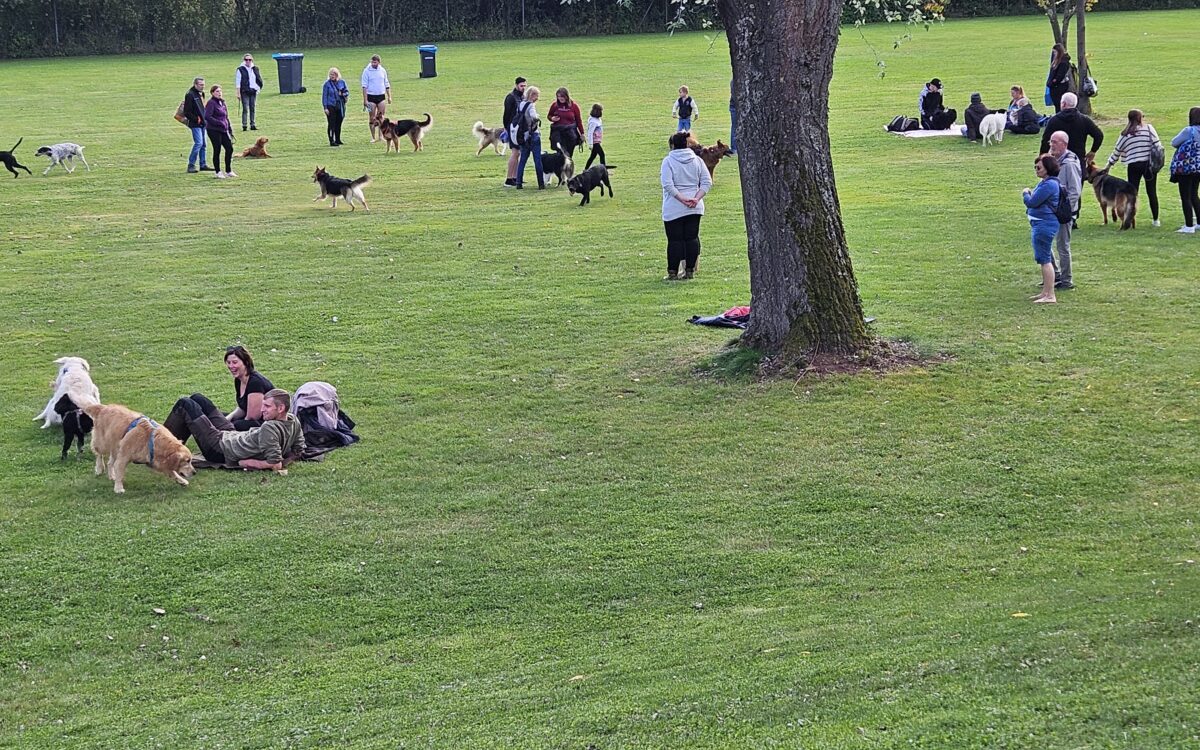 20240915 151301 20240915 151301