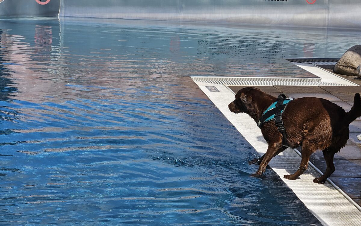 20240915 1514340 20240915 1514340