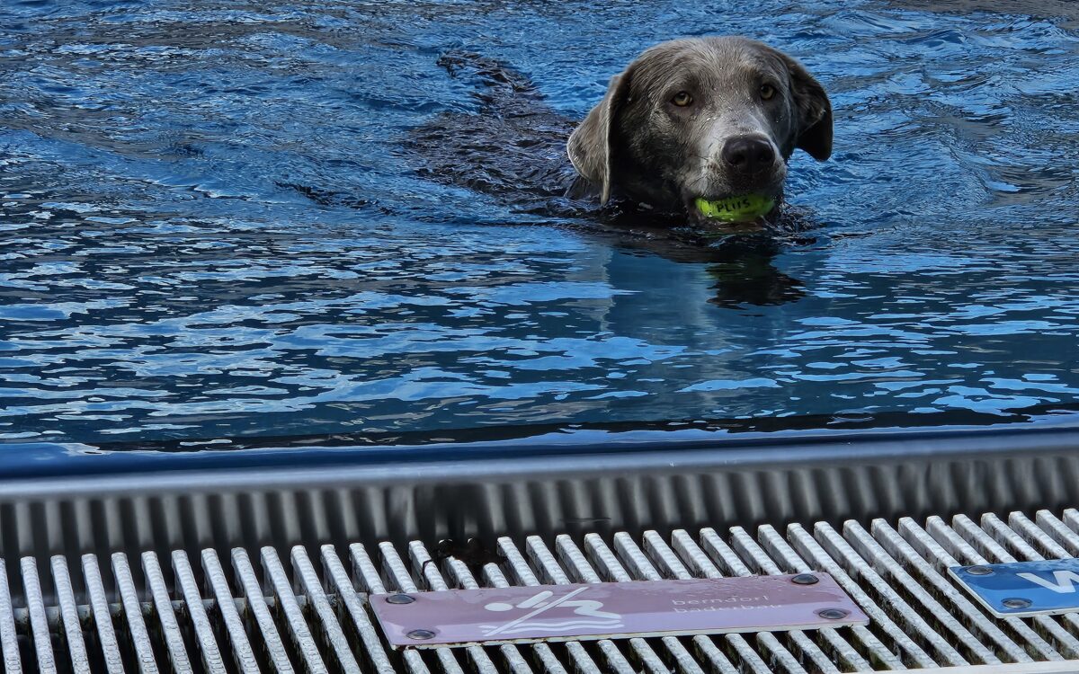 20240915 151633 20240915 151633