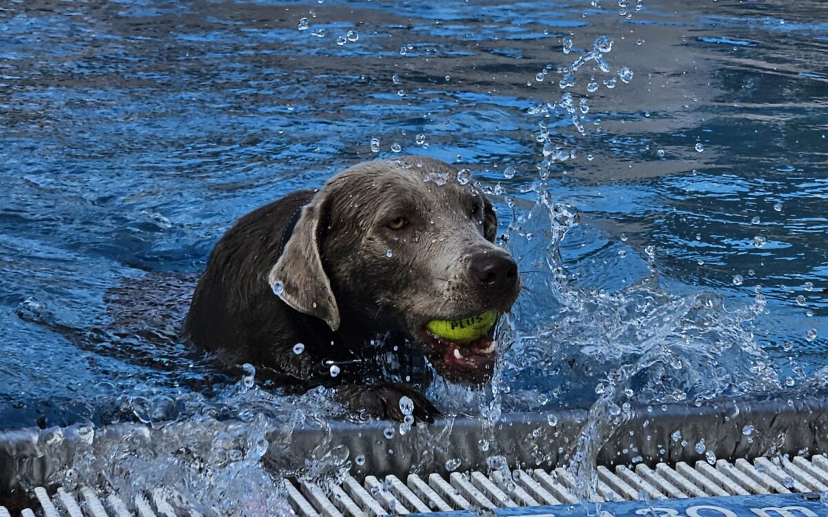 20240915 151635 20240915 151635