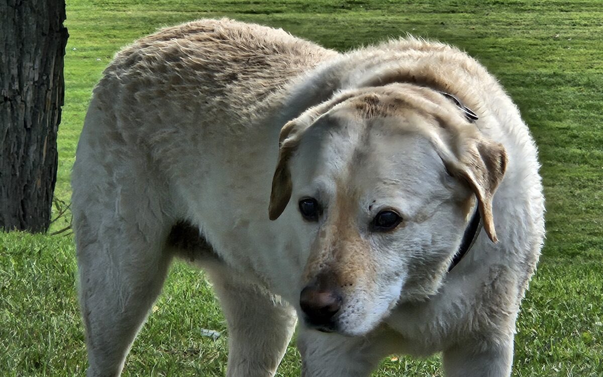 20240915 151737 20240915 151737