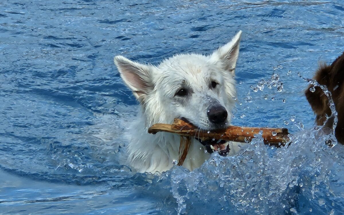 20240915 151812 20240915 151812