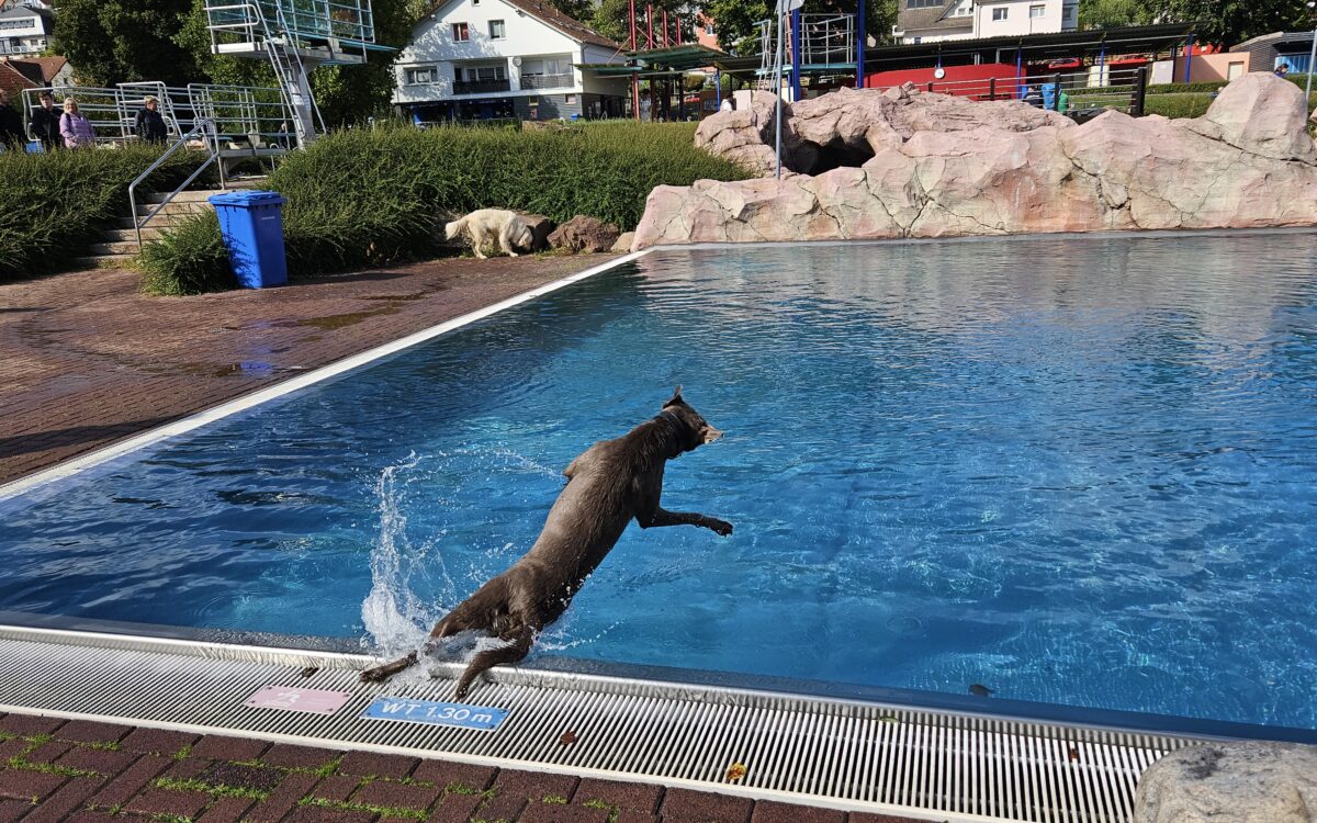 20240915 151837 20240915 151837