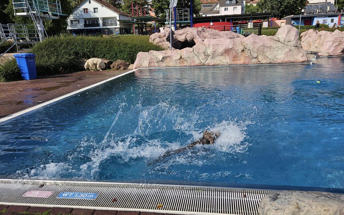 20240915 1518370 20240915 1518370