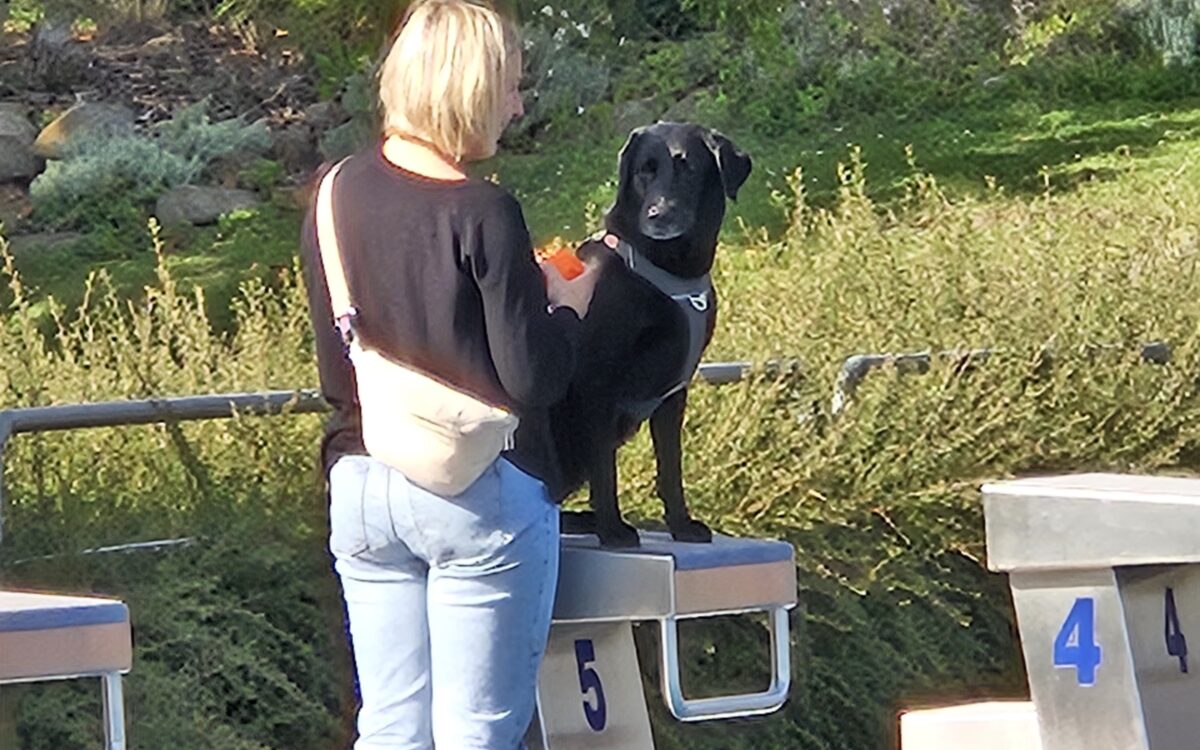 20240915 152055 20240915 152055