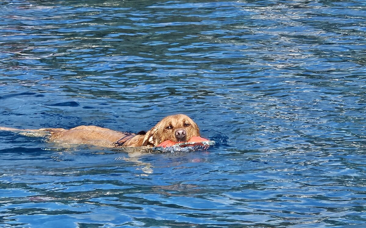 20240915 152135 20240915 152135