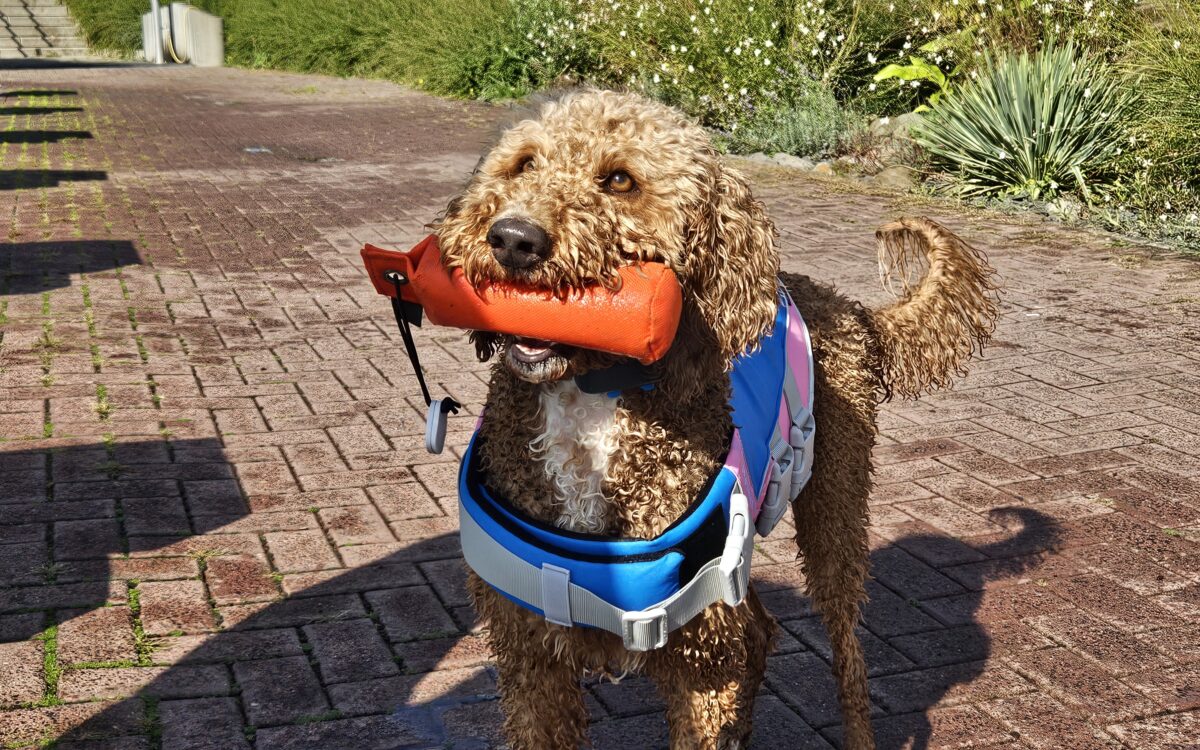 20240915 152401 20240915 152401