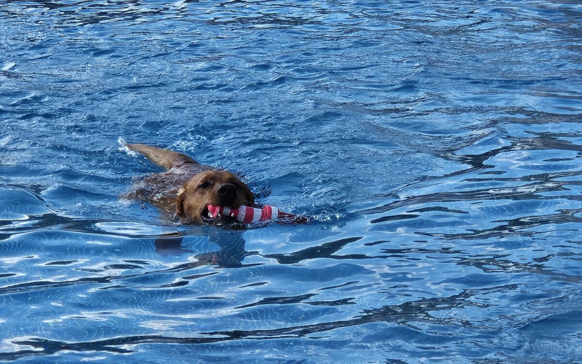 20240915 152516 20240915 152516