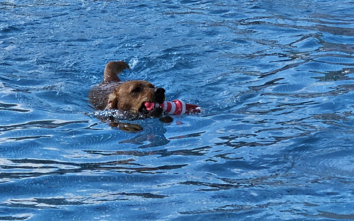 20240915 152517 20240915 152517