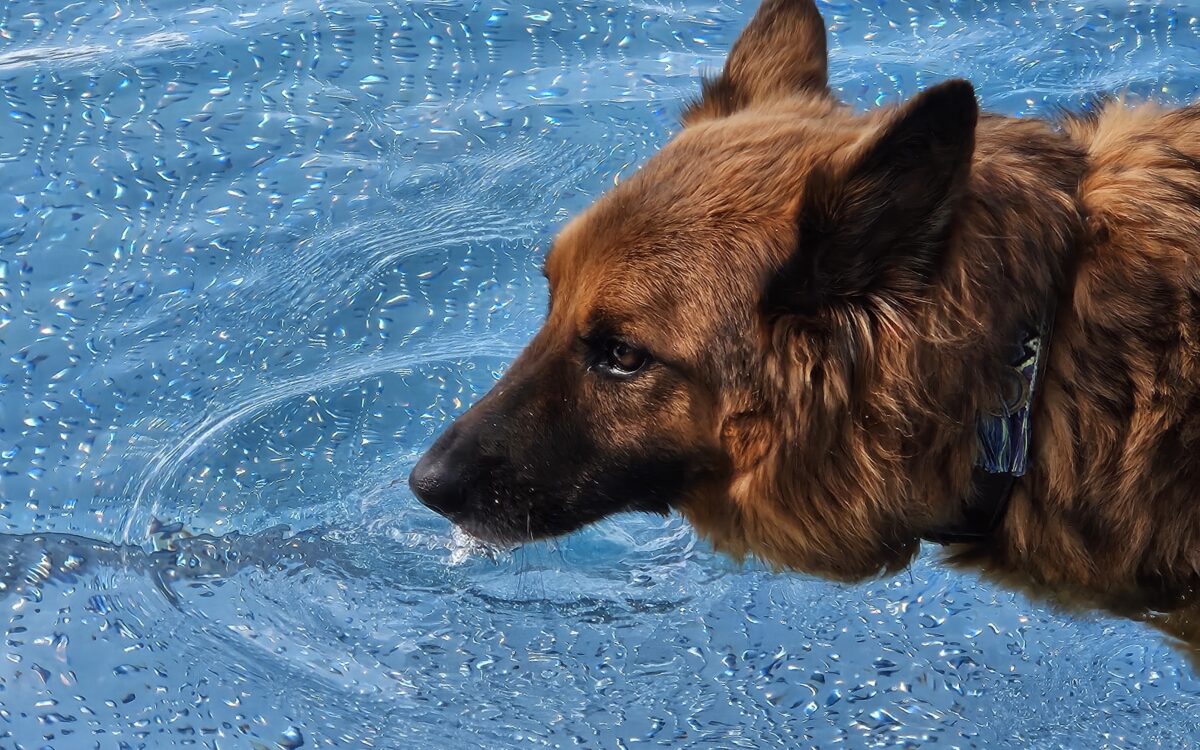 20240915 152548 20240915 152548