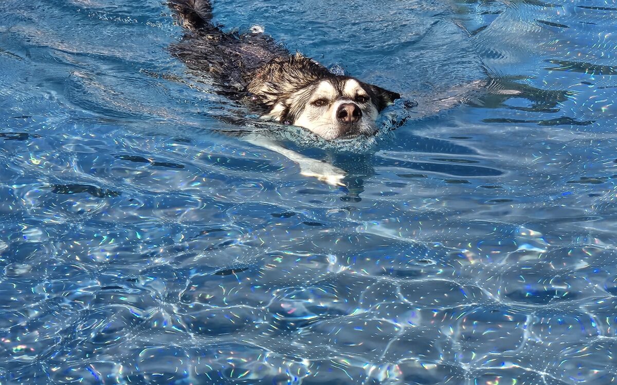 20240915 152641 20240915 152641