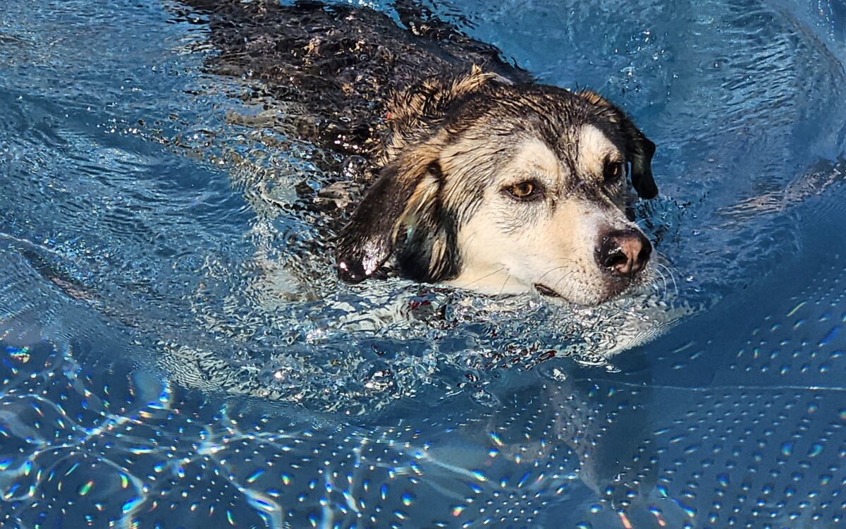 20240915 152644 20240915 152644