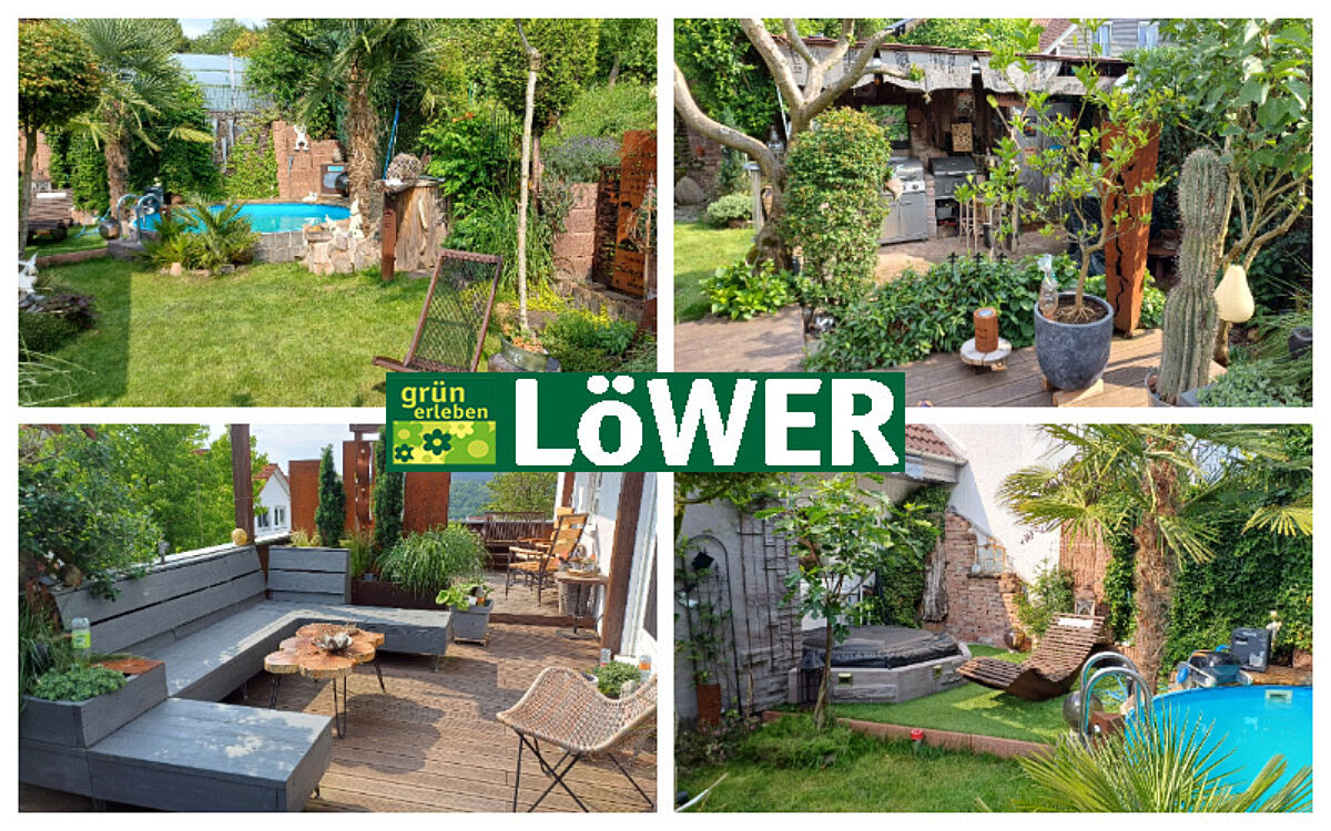 260626 Gartenpardies loewer
