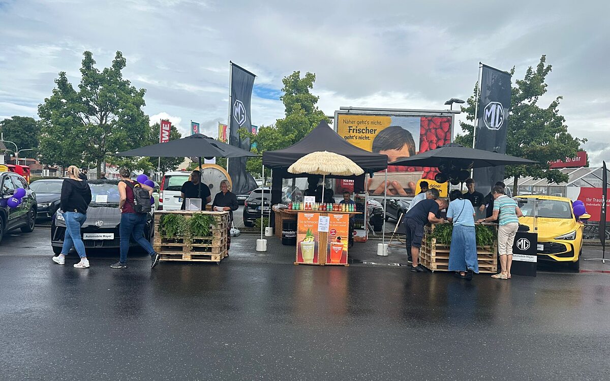 270625 Automobile Mayer 270625 Automobile Mayer