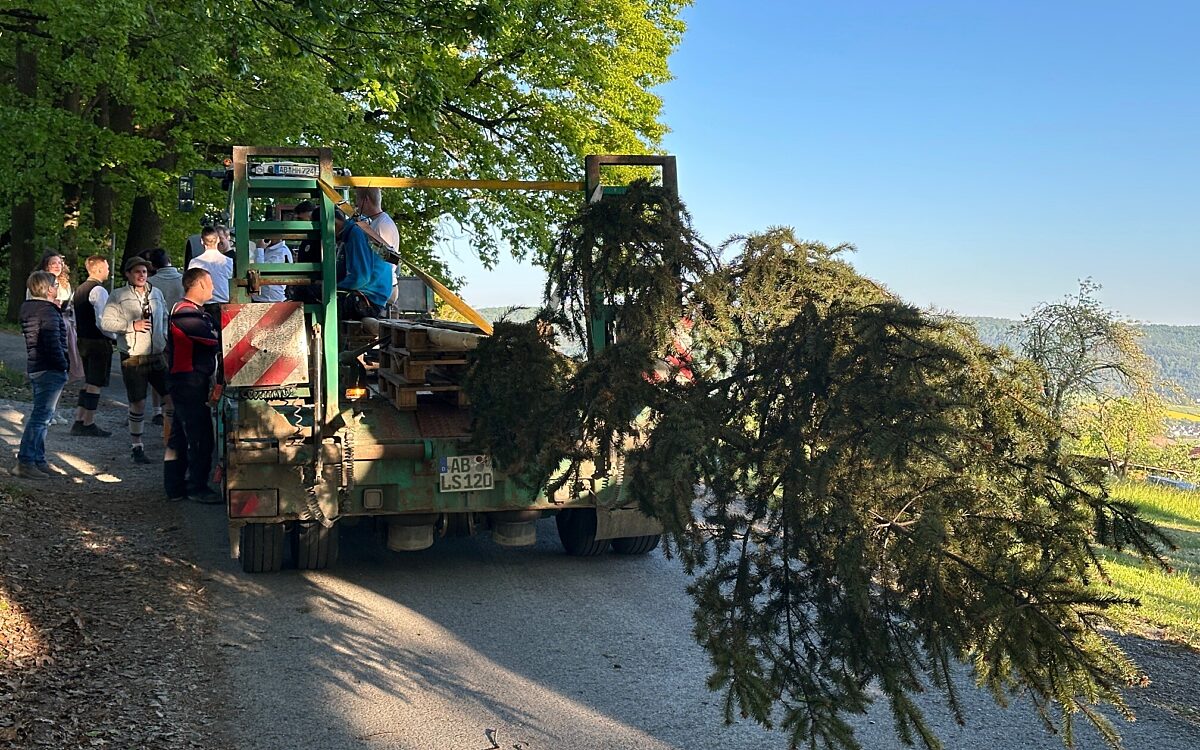 290426 Eichelsbach Maibaum 4 290426 Eichelsbach Maibaum 4