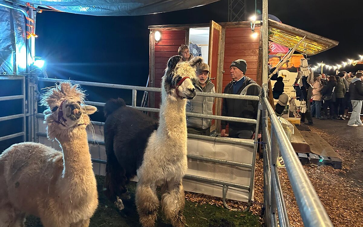 291125 Horbacher Bergweihnacht 7 291125 Horbacher Bergweihnacht 7