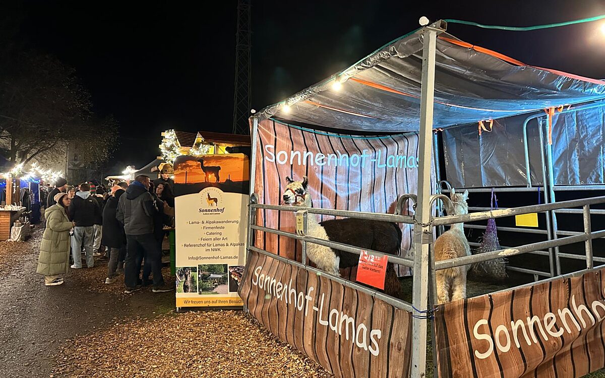 291125 Horbacher Bergweihnacht 8 291125 Horbacher Bergweihnacht 8