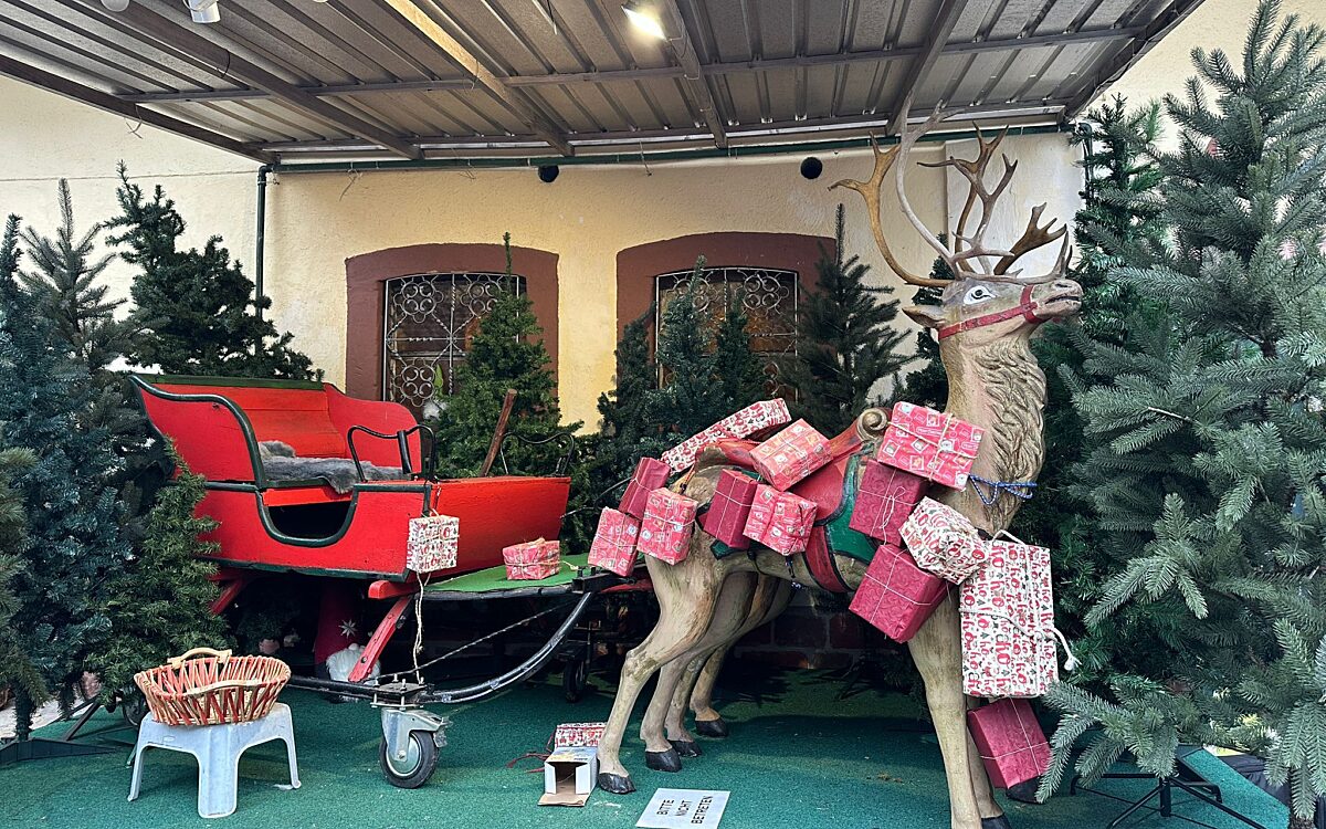 5 Dreikoenigspunsch 6 5 Dreikoenigspunsch 6