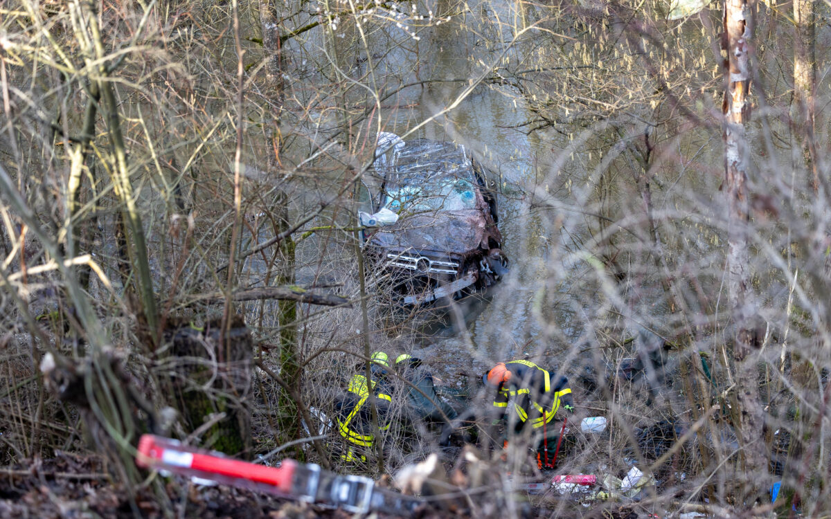 5 VN 2026 0135 001 5 VN 2026 0135 001