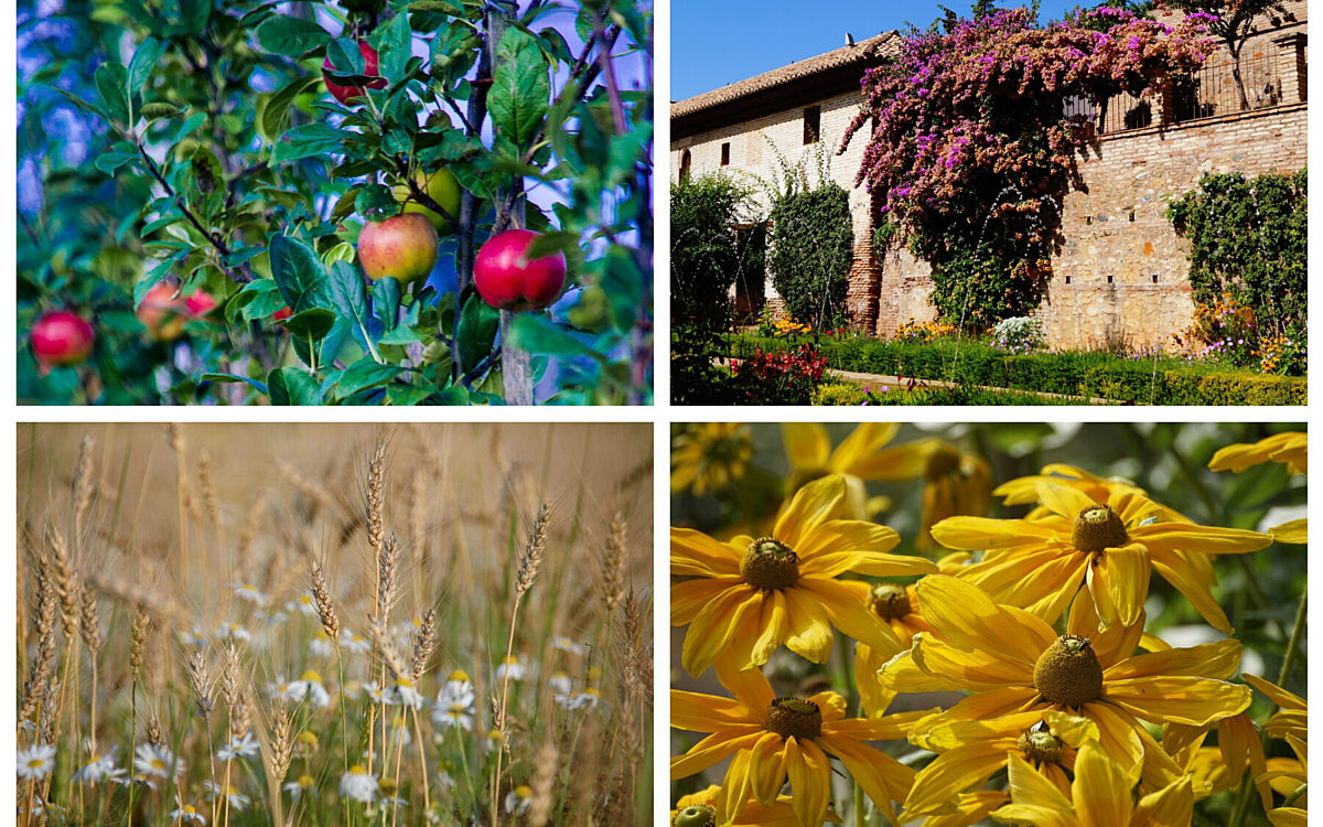 August Veranstaltungen August Veranstaltungen