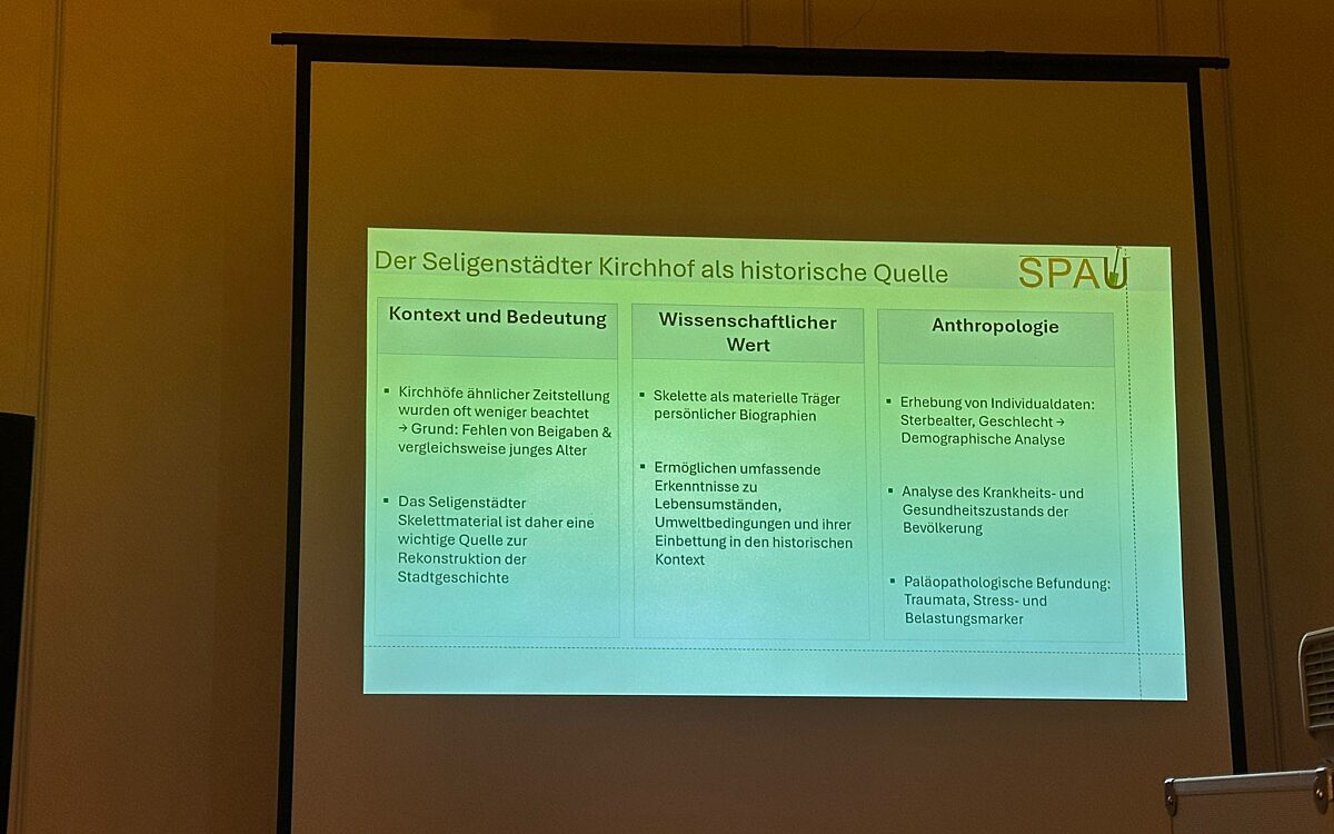 Ausgrabungen 9 Ausgrabungen 9