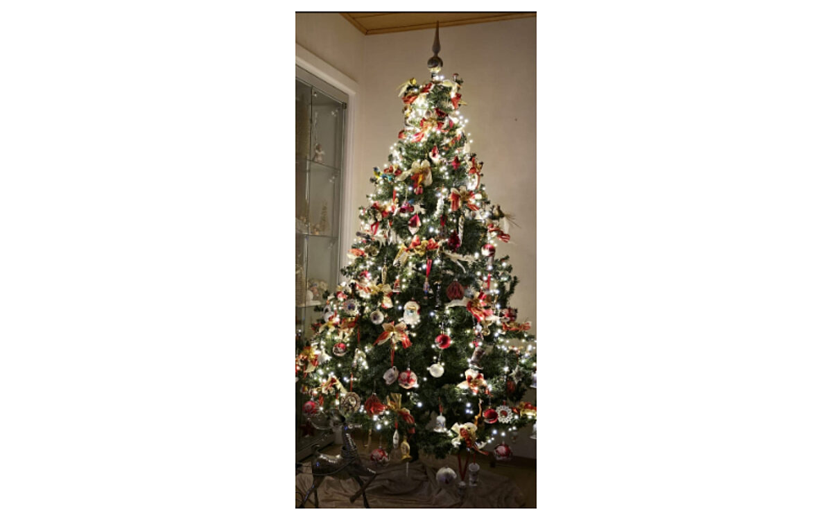 Barbara und Bernd Jung aus Alzenau Barbara und Bernd Jung aus Alzenau