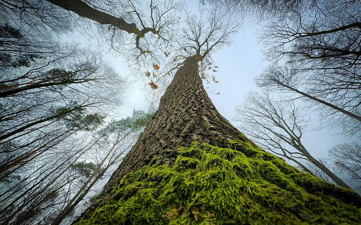 Birgit auf dem Weg zu Hanenkamm Birgit auf dem Weg zu Hanenkamm
