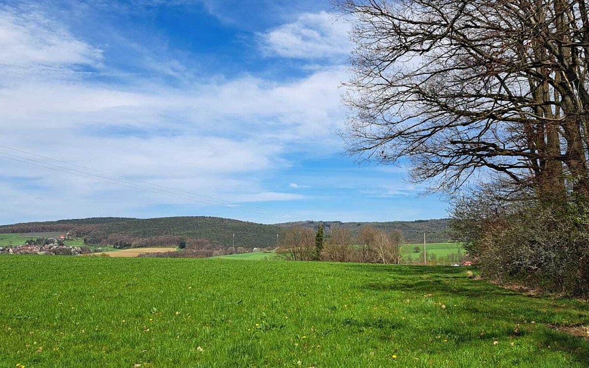 Claudia aus Stockstadt zwischen Hausen und Dornau Claudia aus Stockstadt zwischen Hausen und Dornau