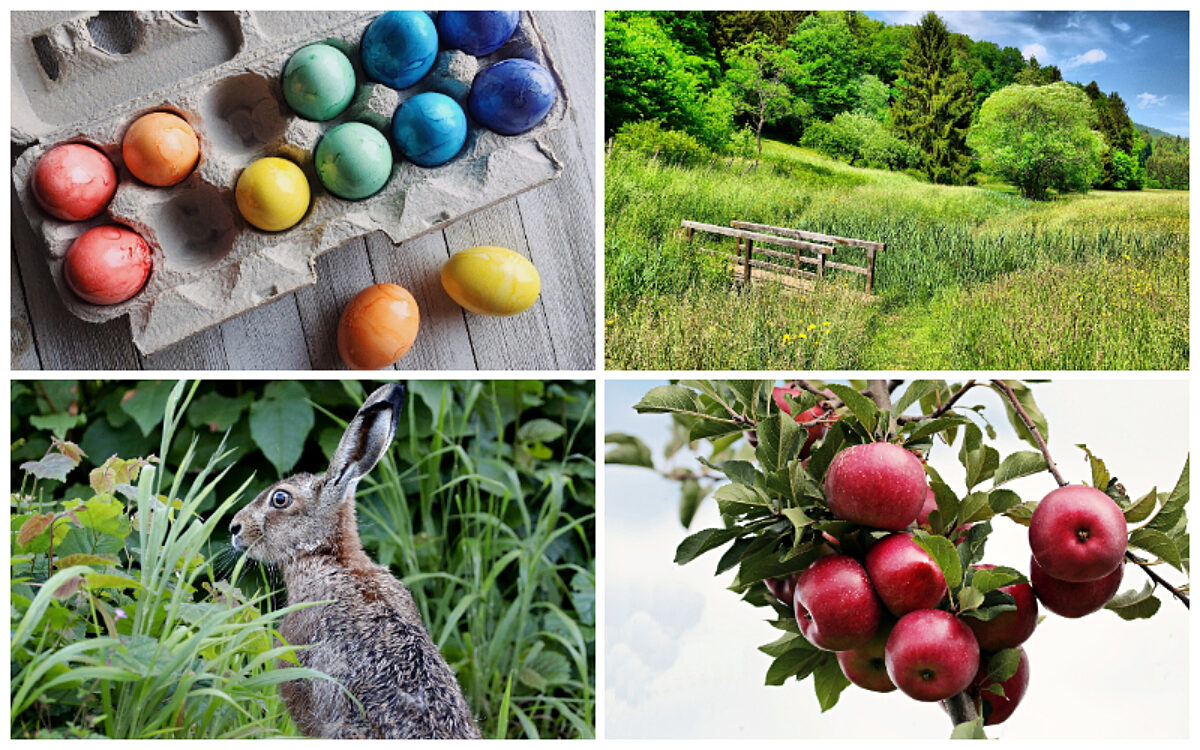 Collage April Collage April