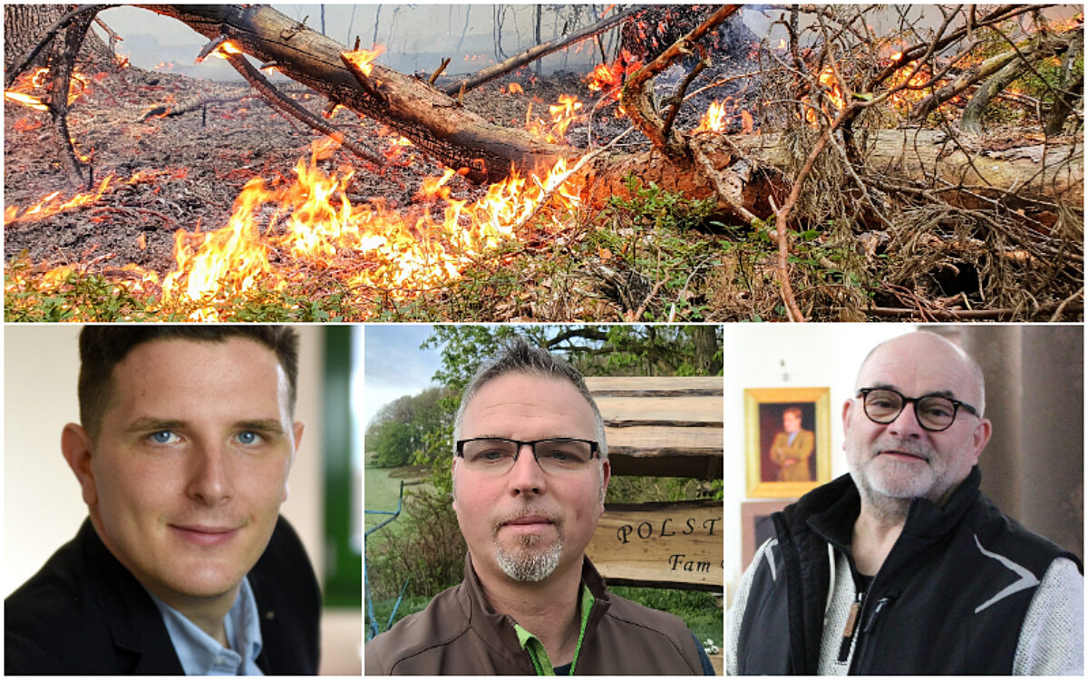 Collage Duerre Collage Duerre