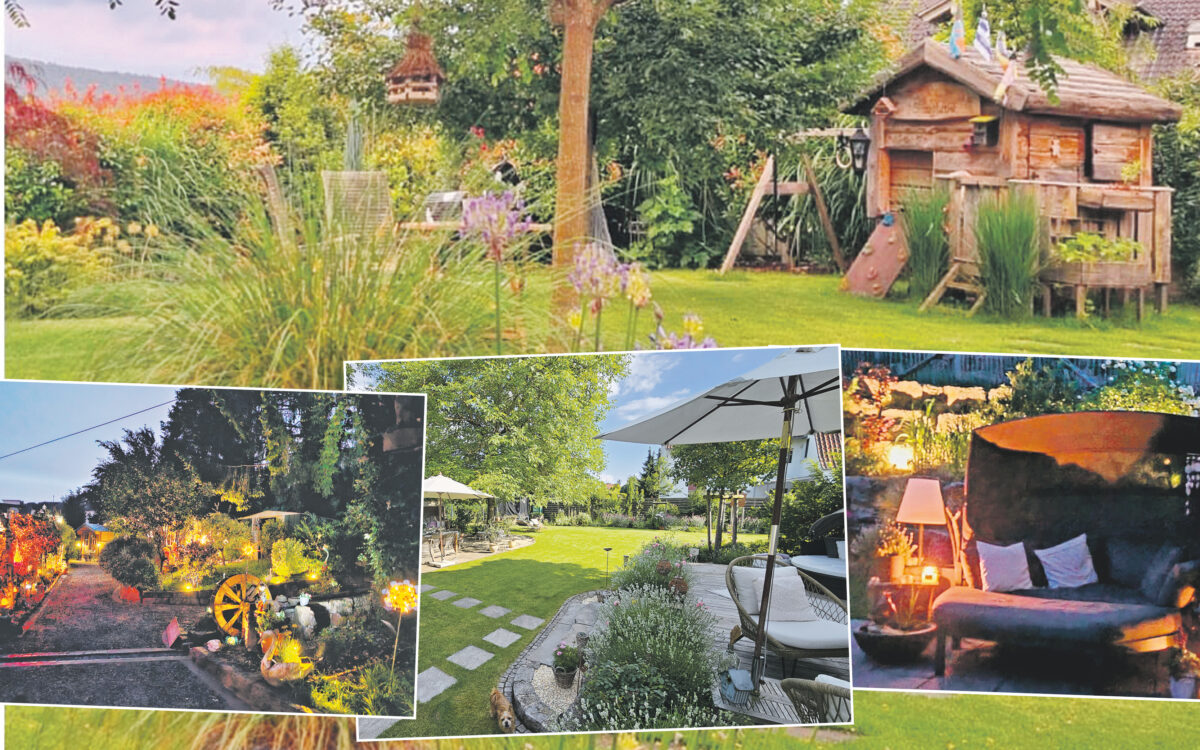 Collage Loewer 250615 Collage Loewer 250615