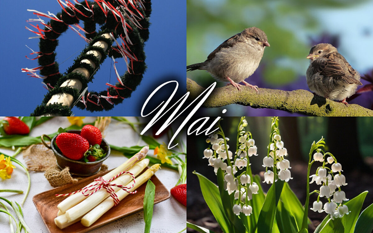 Collage Mai fertig Collage Mai fertig