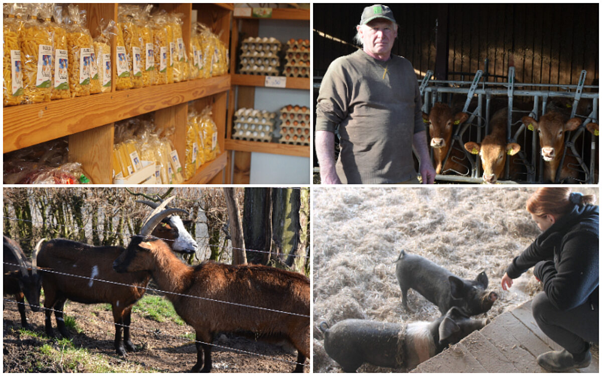 Collage kleine Hoefe Collage kleine Hoefe