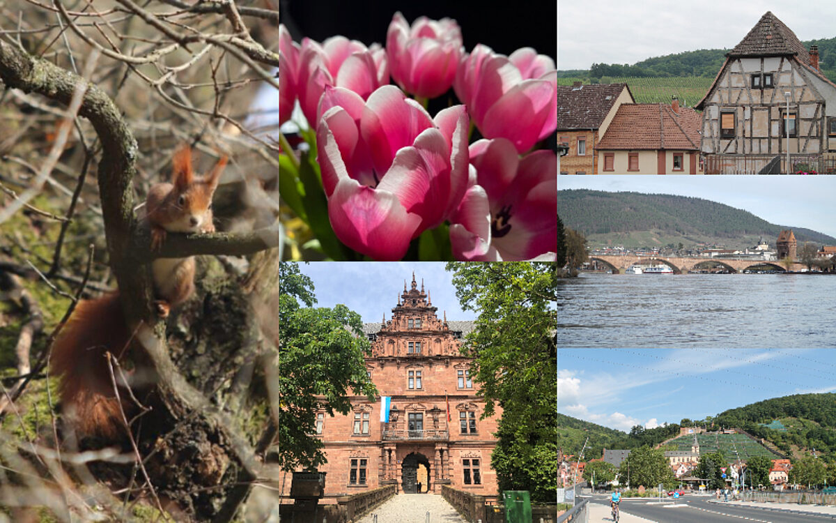 Collage schoenste Fotos Collage schoenste Fotos